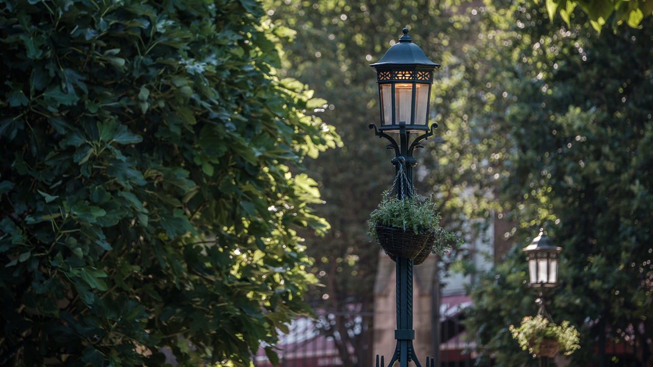 Garden (C) Southwark Cathedral